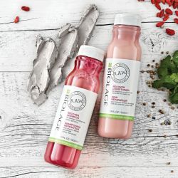 Натурален възстановяващ комплект за стресирана коса Biolage RAW Recover Kit 2x325ml