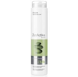 Почистващ шампоан за мазна коса Erayba Zen Active Z12b Cleansing Shampoo 250 ml