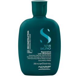 Възстановяващ шампоан за увредена коса ALFAPARF SDL Reconstruction Reparative Shampoo 250ml