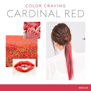 Пигмент за директно боядисванe Keune Color Craving 50ml