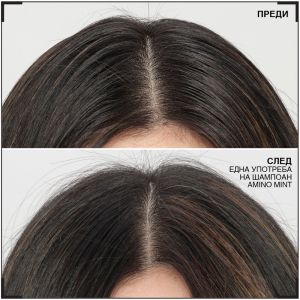Освежаващ ментов шампоан REDKEN Amino Mint Shampoo 300ml