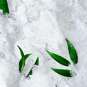 Ревитализиращ ексфолиант с гранули за тяло NUXE Rêve de Thé Revitalizing Granular Scrub 150 ml
