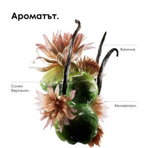 Шампоан, маска и маска без отмиване за увредена плътна коса Loreal Professionnel Absolut Repair Molecular Kit 2024