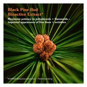 Дневен крем против първи бръчки и загуба на еластичност Korres Black Pine Primus Wrinkle Defying Day Cream 40ml